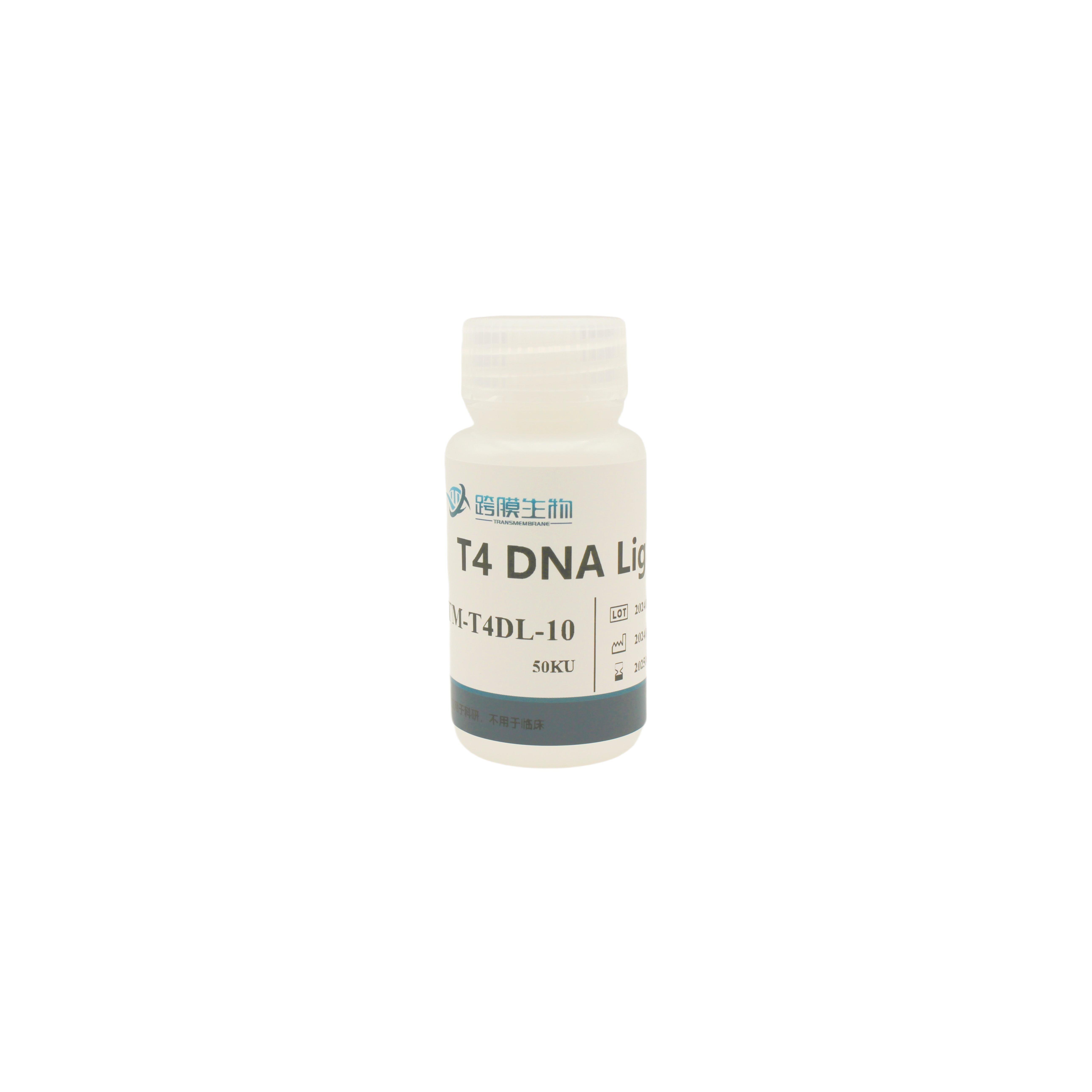 CatAce® T4 DNA Ligase