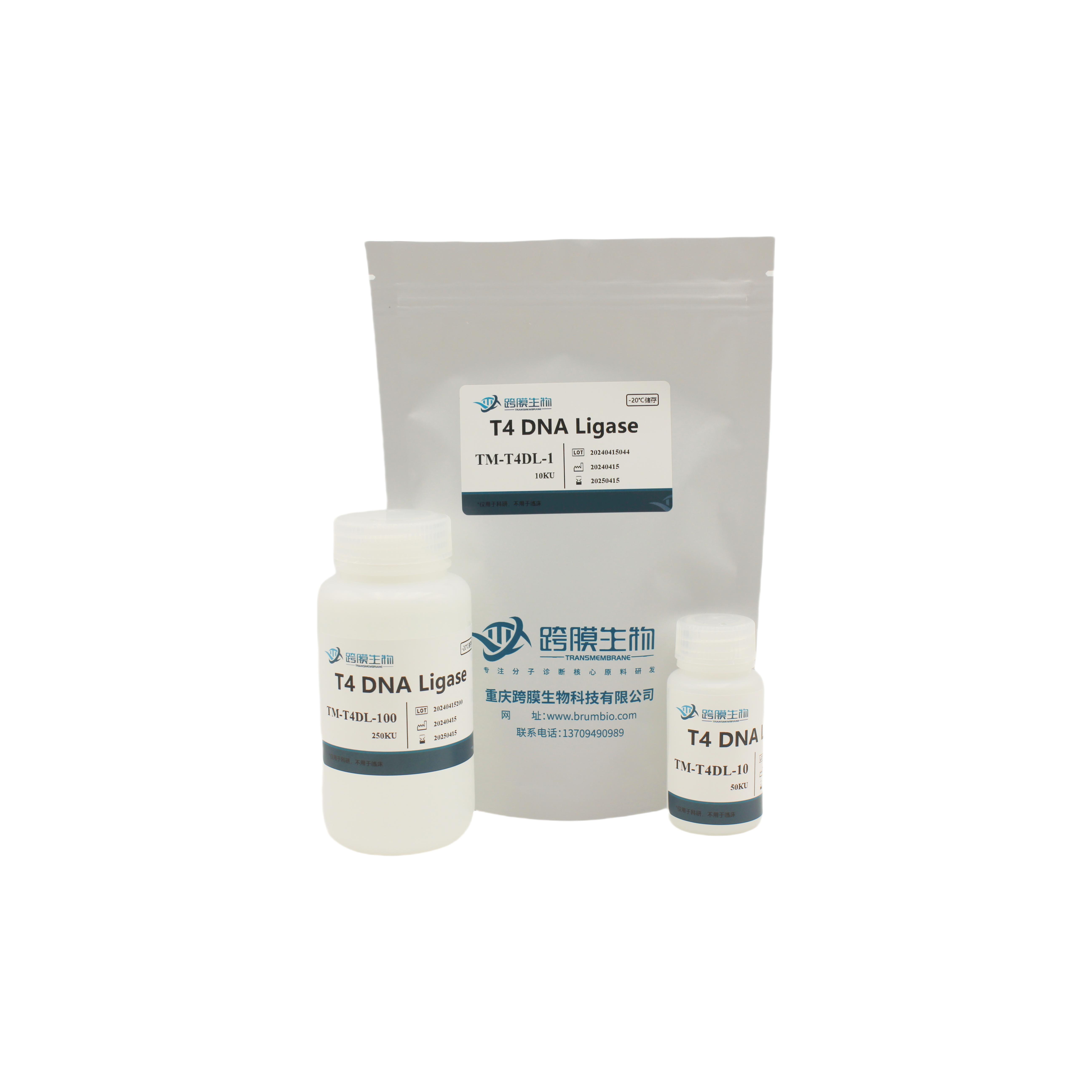 CatAce® T4 DNA Ligase